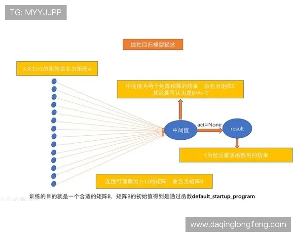 篮球发展历程与未来趋势分析:从基础训练到国际赛场的全面探索 篮球发展历程与未来趋势分析:从基础训练到国际赛场的全面探索