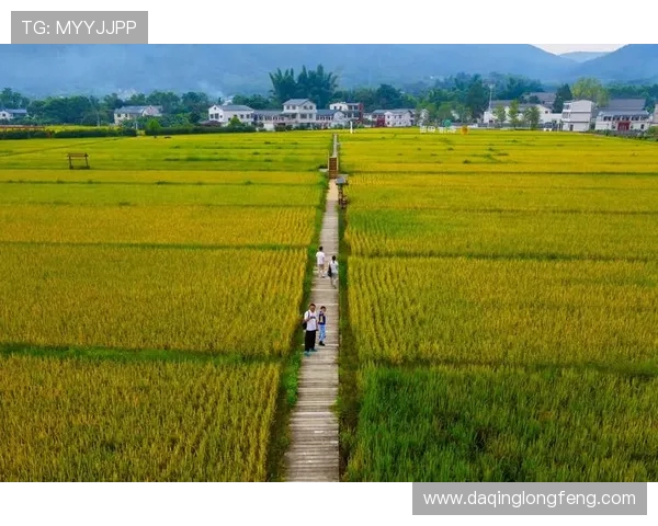 梅州客家文化的传承发展与新时代乡村振兴融合路径探索