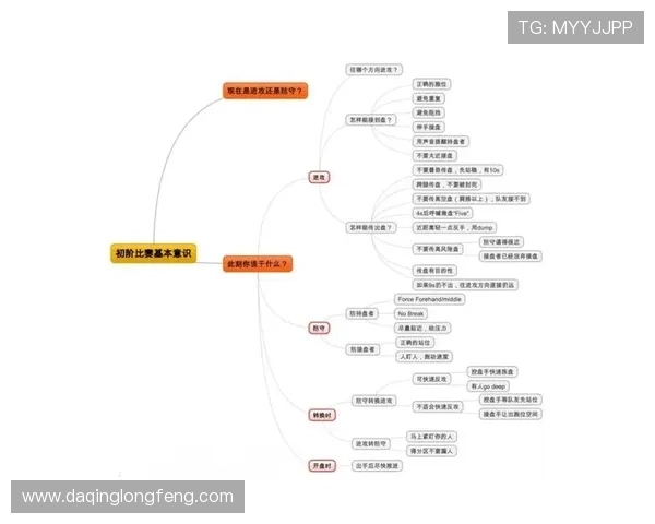 广州飞盘队防守策略解析及其在比赛中的应用与成效分析