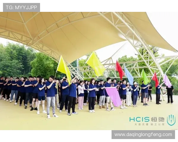 杭州羽毛球队配合创新引发热议助力竞技水平提升与团队协作变革