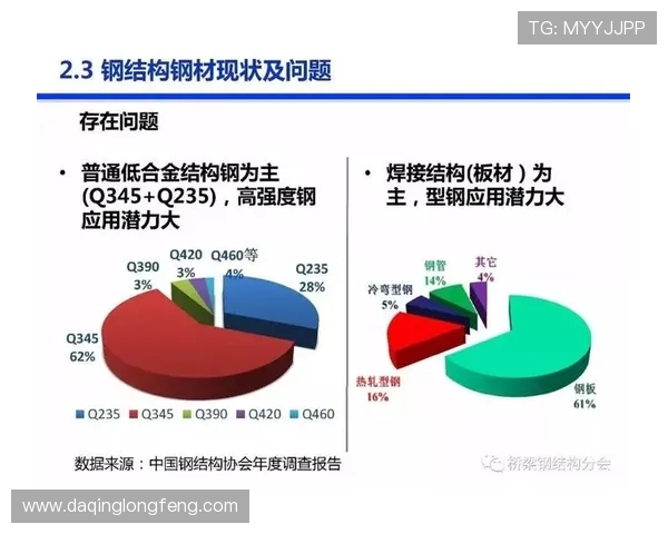 武汉排球队实力分析与发展潜力的深度探讨与展望