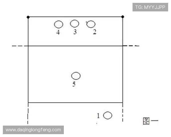 深圳排球队战术对比深度解析与未来发展趋势探讨